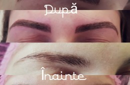 Curs microblading