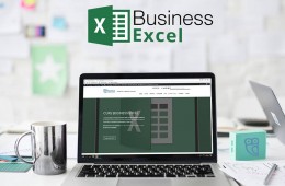 Business Excel. Curs practic.