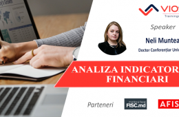 Analiza indicatorilor financiari
