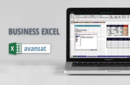 Curs practic MS Business Excel Avansat