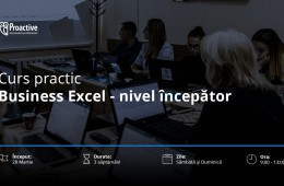 Business Excel - nivel începător