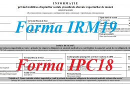 Forum ONLINE Antreprenorial-Contabil: ,,Aspecte specifice al Dării de seamă: Forma IRM19, Forma IPC18’’