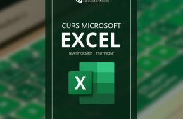 Curs Business Excel