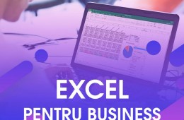 Curs Excel pentru Business Online