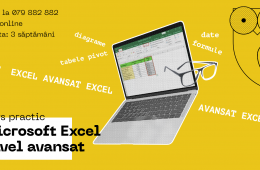Curs Microsoft Excel. Nivel Avansat